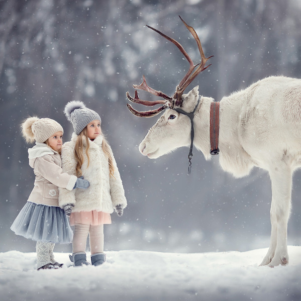 Photograph Elena Mikhailova Girls With Deer on One Eyeland